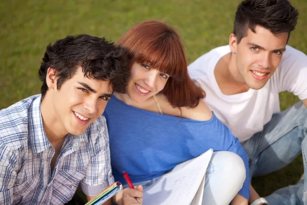 Amigos estudiando — Foto de Stock