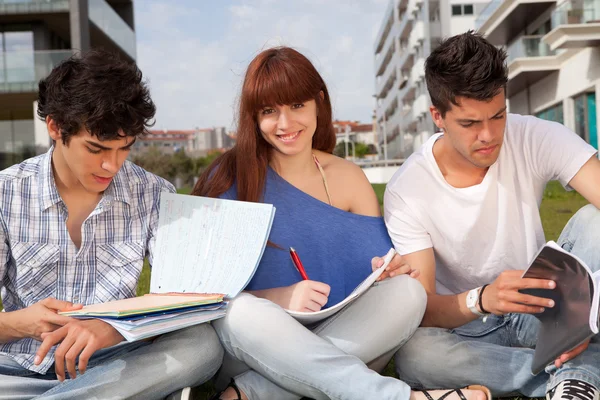 Amici che studiano — Foto Stock