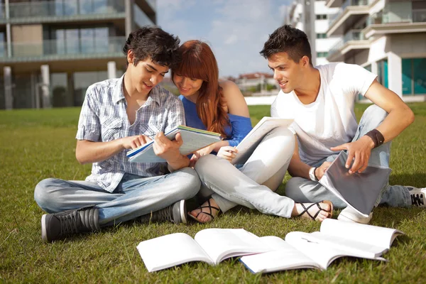 Friends is studying — Stock Photo, Image