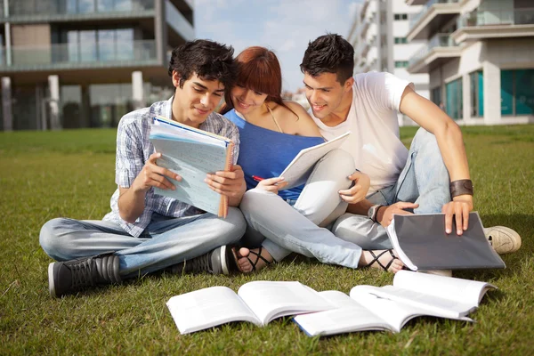 Amigos está estudiando — Foto de Stock