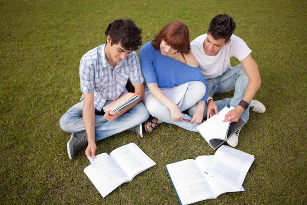 Gli amici stanno studiando — Foto Stock