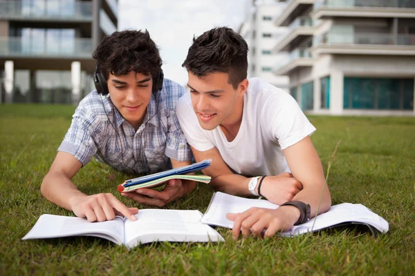 Friends are studying — Stock Photo, Image