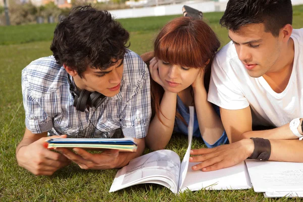 Amigos estão estudando — Fotografia de Stock