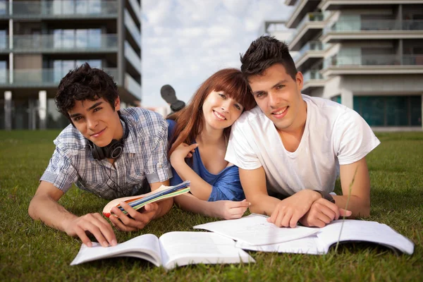 Amigos estão estudando — Fotografia de Stock