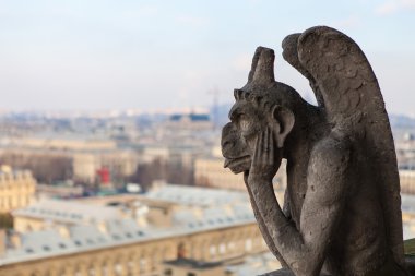Paris 'in ünlü hanımı.