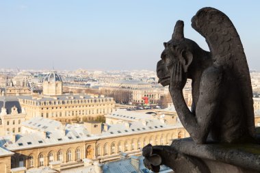 Paris 'in ünlü hanımı.