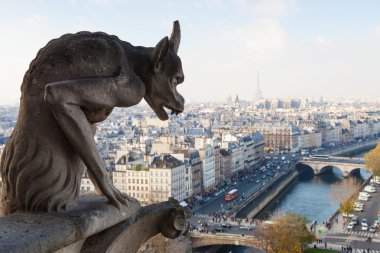 Paris 'in ünlü hanımı.