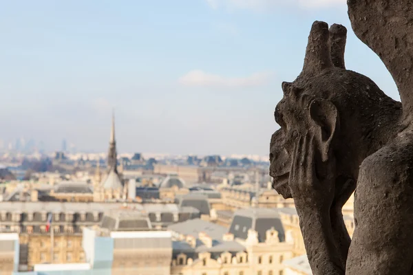 Notre Dame von Paris — Stockfoto