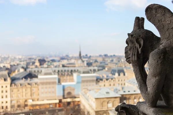 Notre Dame di Parigi — Foto Stock
