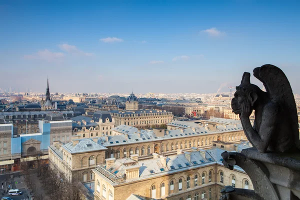 Notre Dame de Paris — Fotografia de Stock