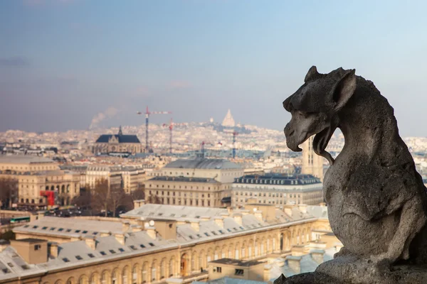 Notre Dame de Paris — Fotografia de Stock