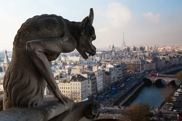 Notre Dame di Parigi — Foto Stock