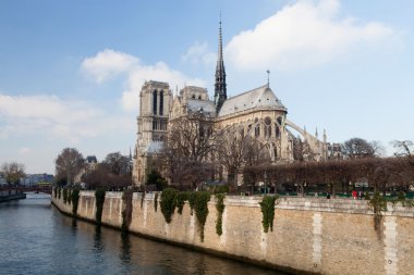 Paris 'in ünlü hanımı.