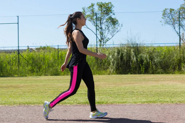 Concepto Fitness —  Fotos de Stock