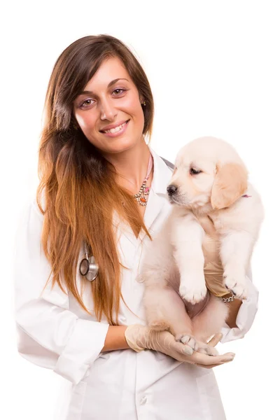 Veterinär — Stockfoto