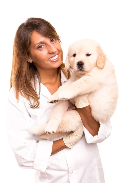 Veterinario — Foto de Stock