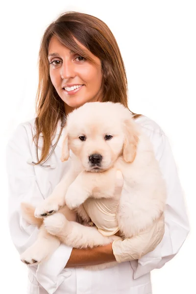 Veterinario — Foto de Stock