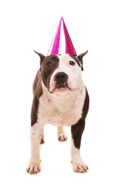 Amerikan gönüllü asker personel yönetim bölgesi