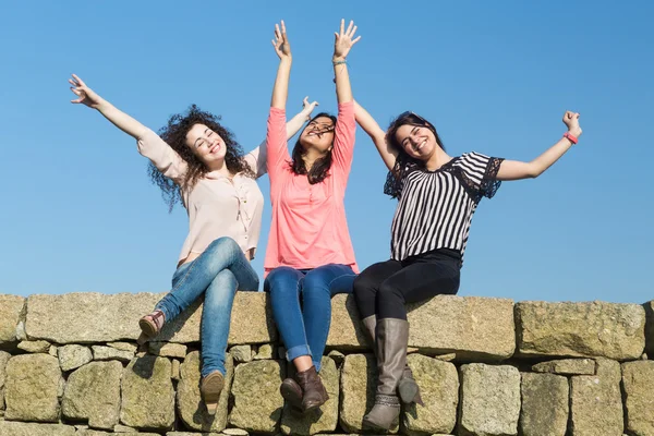 Mujeres felices — Foto de Stock