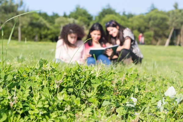 Glückliche Frauen — Stockfoto