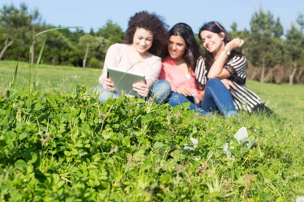 Mujeres felices — Foto de Stock