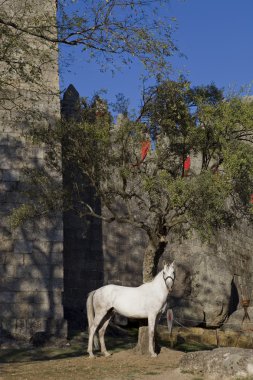 Guimaraes