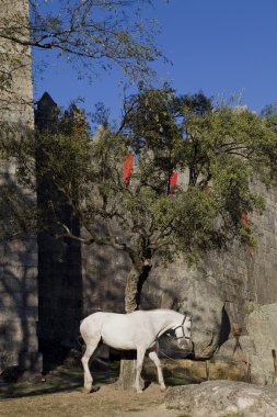Guimaraes