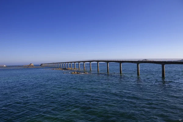 Pont roscoff — Photo