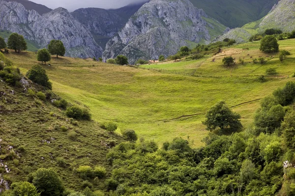 Picos de Europa — Foto de Stock