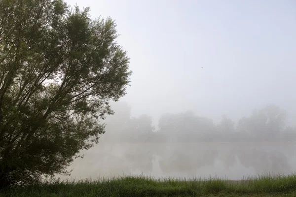 Nehir duman — Stok fotoğraf