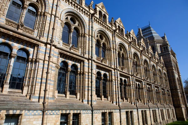 Museum natural history — Stock Photo, Image