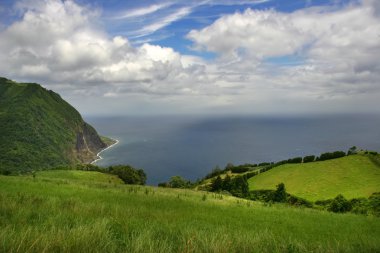 Alanlar