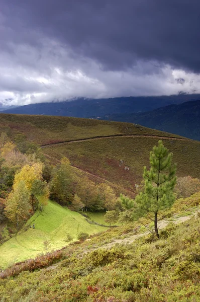 Otoño —  Fotos de Stock