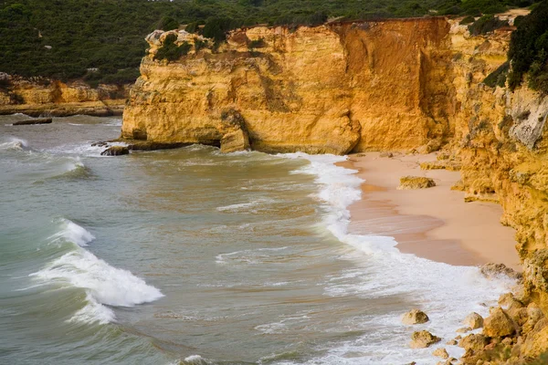 Playa — Foto de Stock