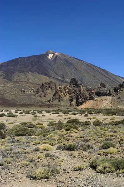 Teneriffa — Stockfoto