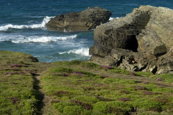 Coastal — Stock Photo, Image