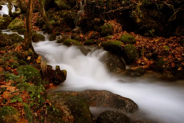 Fluss — Stockfoto