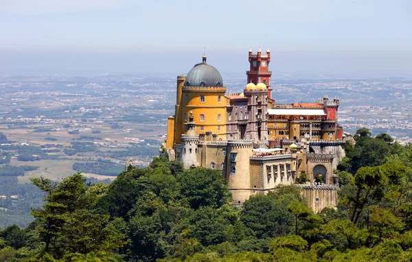 Pena sintra içinde — Stok fotoğraf