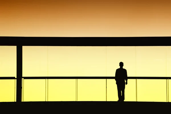 Trabalhador dentro do edifício moderno em silhueta — Fotografia de Stock