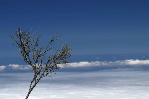 Nuvens — Fotografia de Stock