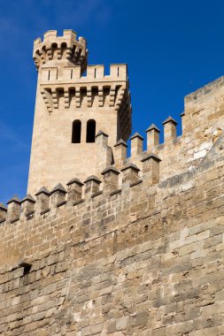 Mallorca Katedrali 'nin bir parçası, Palma de Mallorca, İspanya