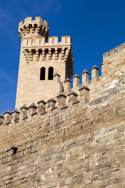 Parte da catedral de Maiorca, em Palma de Maiorca, Espanha — Fotografia de Stock