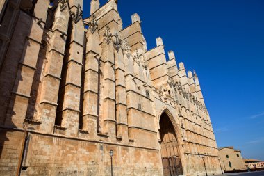 Katedral