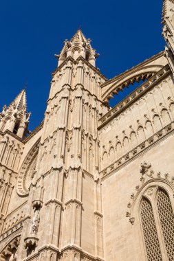 ayrıntı mallorca Katedrali, palma de Mallorca, İspanya