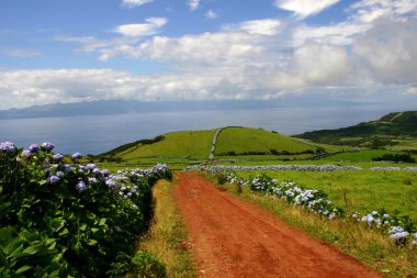 Azores peyzaj