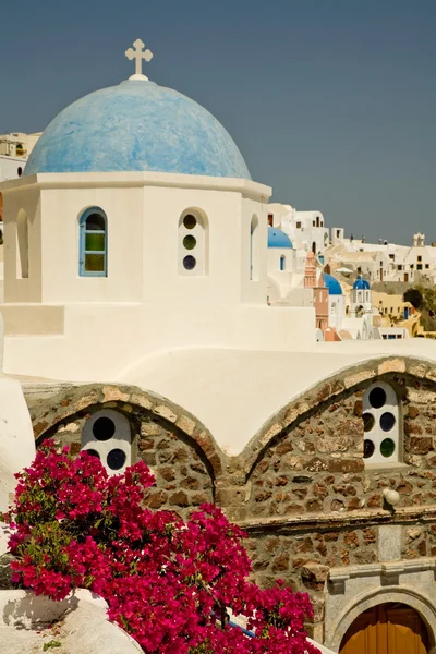 Květiny a kostel v oia na řeckém ostrově santorini — Stock fotografie