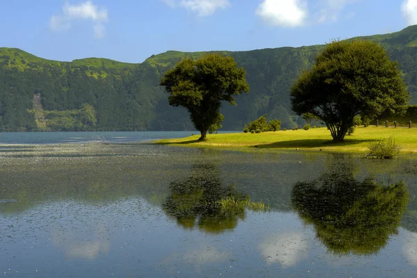 Лазорское озеро Sete Cidades на острове Сао Фалуэл, Португалия — стоковое фото