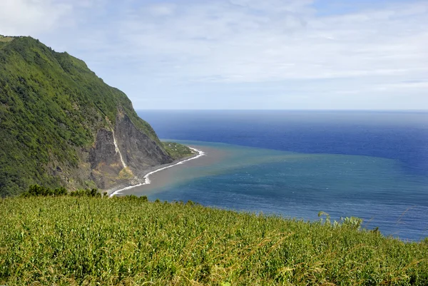 Азорские прибрежные поля острова Сан-Мигель — стоковое фото