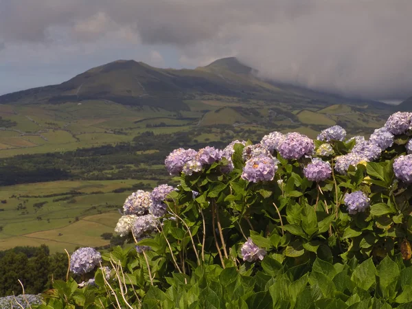 Azores vista paisagem — Fotografia de Stock