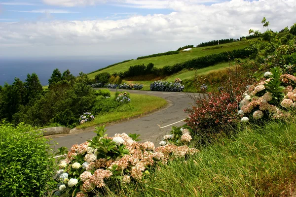 Paisaje costero de las Azores en la isla de s miguel —  Fotos de Stock